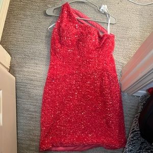 Brand new pink Berlinovva dress with tags